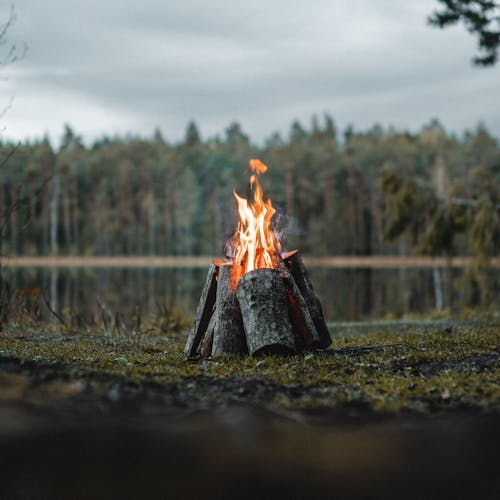 Millist ilma lubab jaanilaupäevaks?